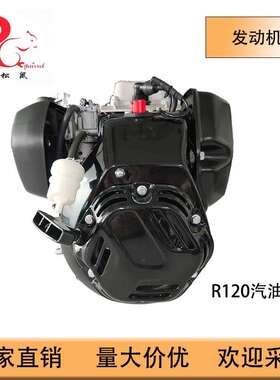 高品质冲击夯专用发动机R120汽油机RM120-V发动机整机Engine