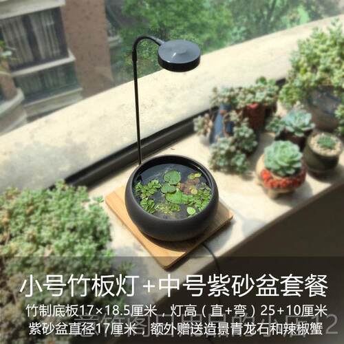 正品浮意砂陶瓷鱼缸桌面生态盆紫造创景微景观水培植物盆景萍观赏