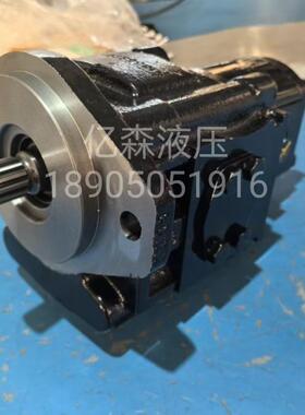 代CASAPPA凯斯帕齿替轮KP30.19.5/24/27/29/3/LIY34/3泵8/41/46/1