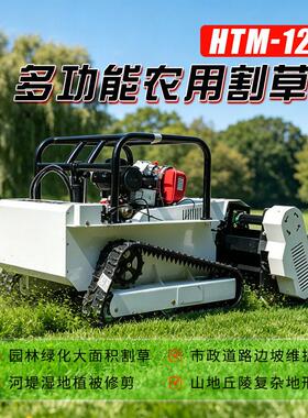 出口洲燃油大功msr26060率欧15马机力柴油割草机遥控割草器人工厂