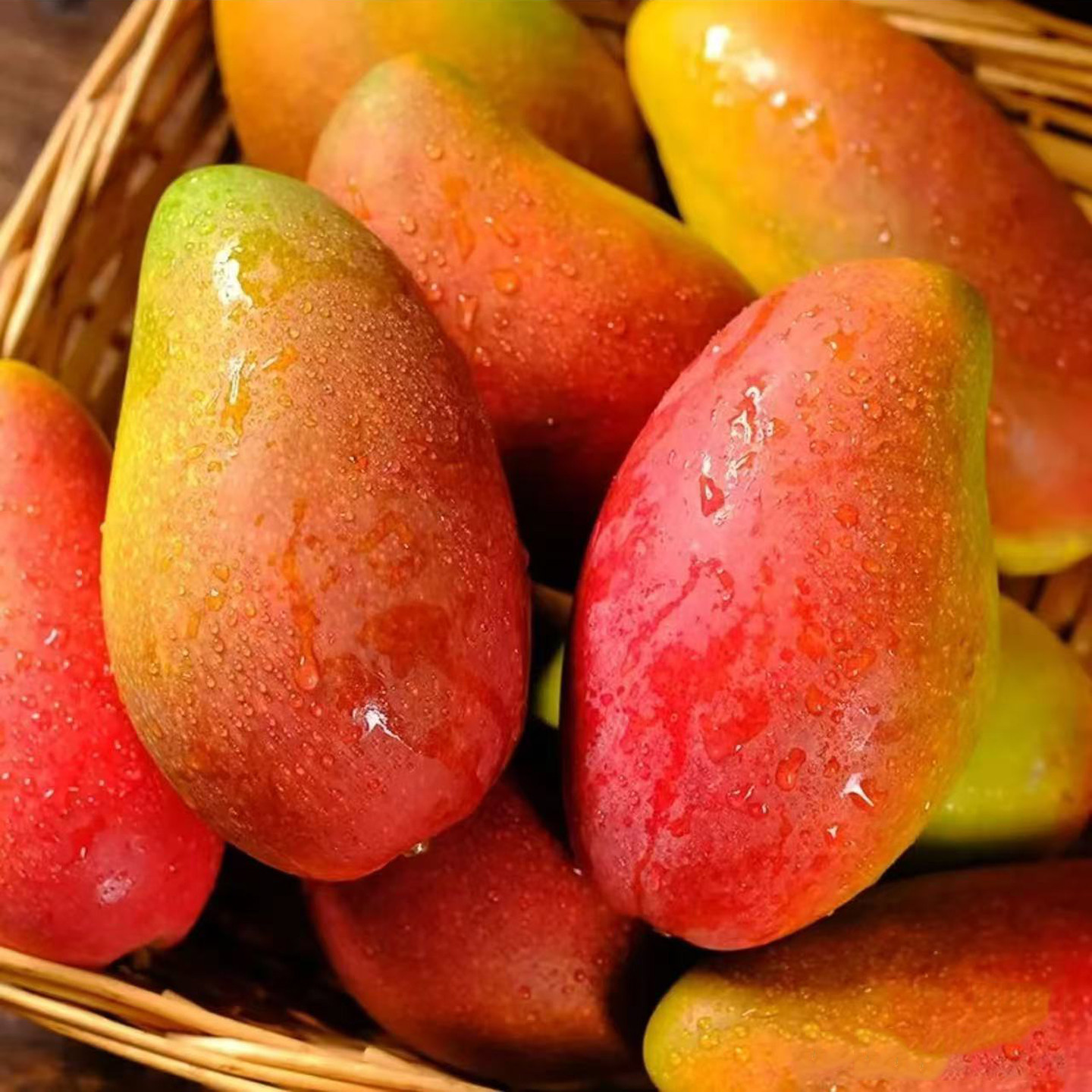 【顺丰快递】海南三亚树上熟贵妃芒果当季新鲜孕妇水果礼盒装