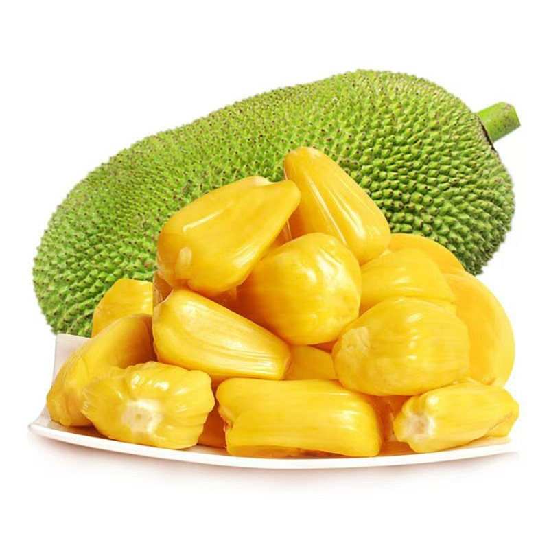海南三亚黄肉干苞菠萝蜜一整个树上熟新鲜水果熟顺丰包邮