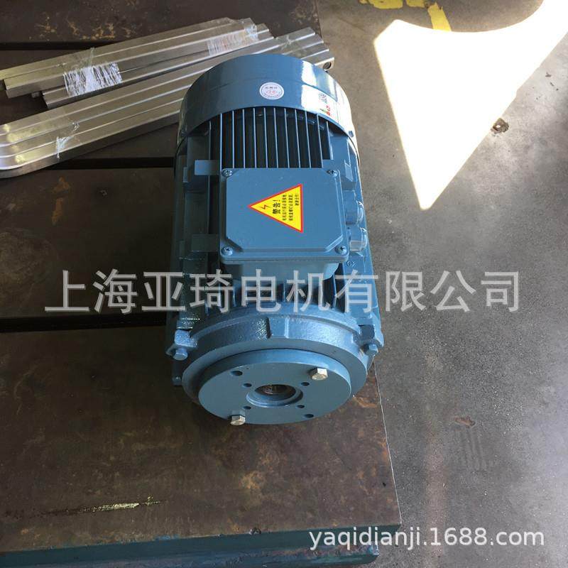 上海沪迪电机有限公司高压清洗机电机内轴电机内插式柱塞泵