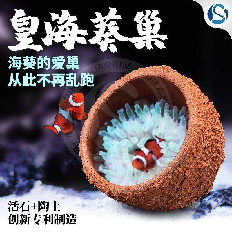 奶嘴防跑器奶嘴窝家杯海葵地毯屋窝家奶嘴杯海葵容器皇海葵巢,宠物/宠物食品及用品,造景/装饰,淘宝优惠券,粉丝福利购,淘宝优惠卷