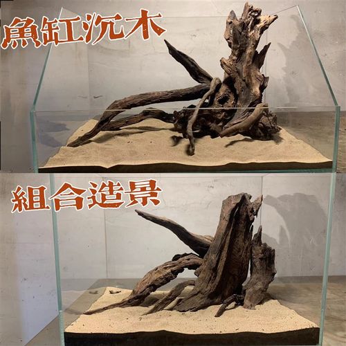 鱼缸造景沉木空心树桩组合套餐枝条拼搭紫柚木树根布景摆件南美风