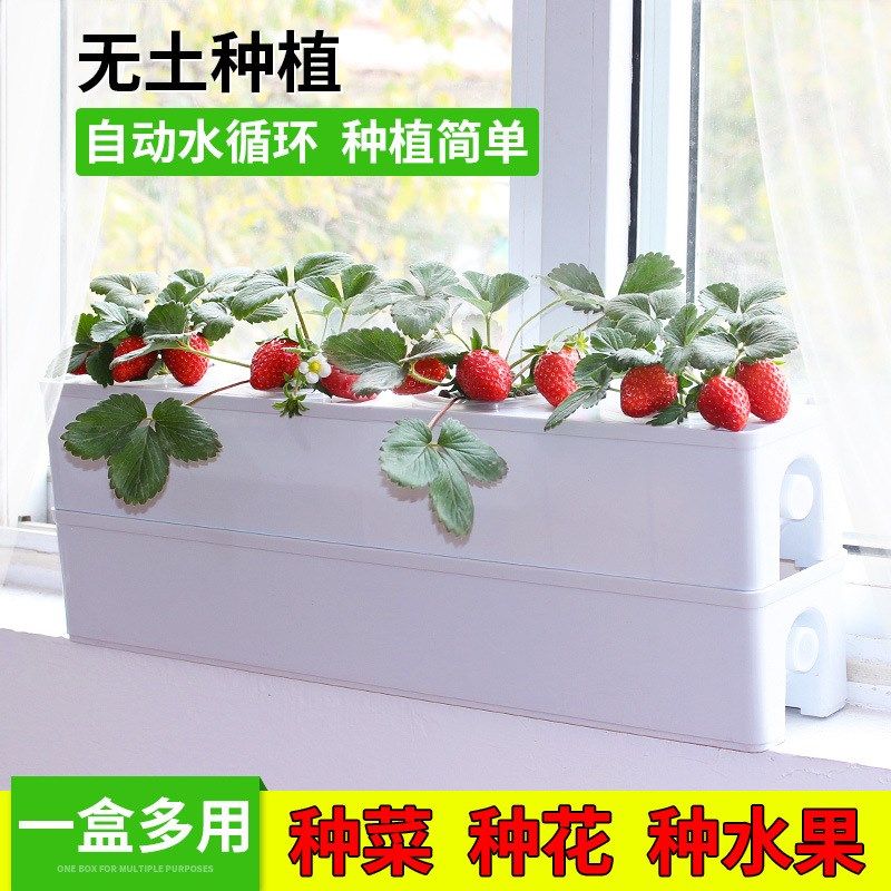 无土栽培黄瓜水培蔬菜家庭室内阳台种菜智能箱自动管道式设备