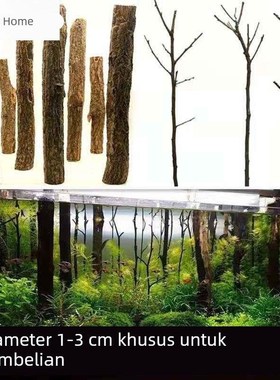 鱼缸沉木森林树干水草造景红杉木雨林缸装饰乌龟缸杜鹃根香槟树枝
