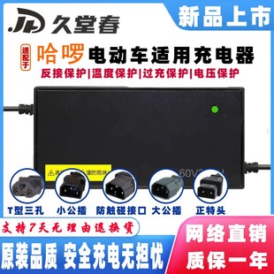 哈啰棒途志讯电动车适配充电器60V20AH72伏小旋风D51小宇宙H16