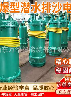 矿用潜水排沙电泵 BQS450-50-132/N矿用隔爆型潜水排沙电泵