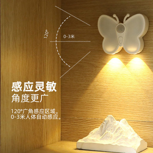 蝴蝶人体感应灯门牌号不插电磁吸免布线感应灯可充电入户门