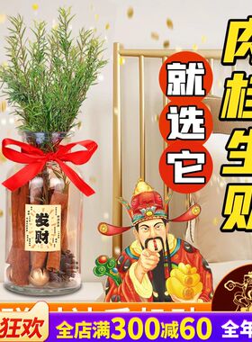 肉桂生财摆件玻璃瓶子diy材料包办公室卧室床头客厅工位车载家用