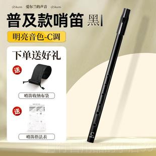 正品爱尔兰哨笛C调D调小学生专用六孔直笛笛儿专业童演奏高低音子