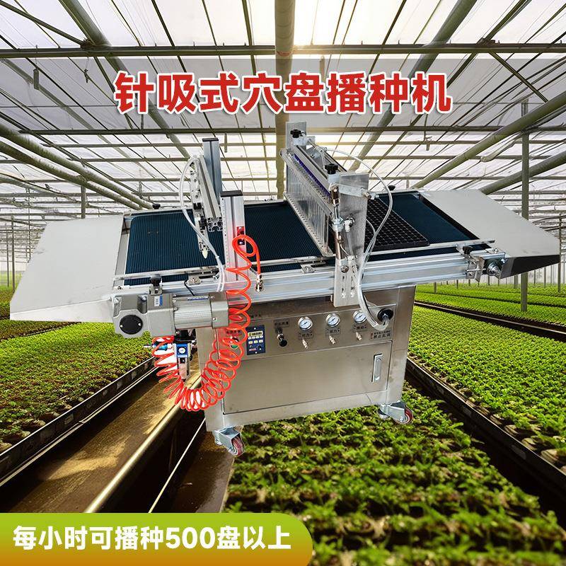 全自动高精准西红柿蔬菜育苗机 自动穴盘播种机厂家