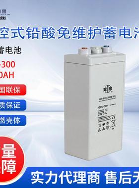 双登蓄电池GFM-300 免维护铅酸蓄电池2V300AH 太阳能基站机房用
