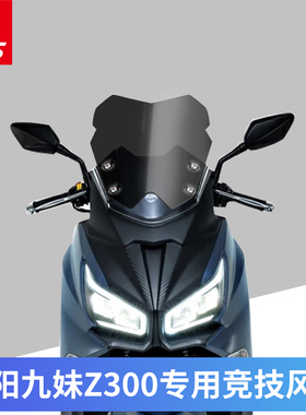 适用于三阳九妹Z300巡弋300改装挡风玻璃前挡风护胸竞技风挡风镜