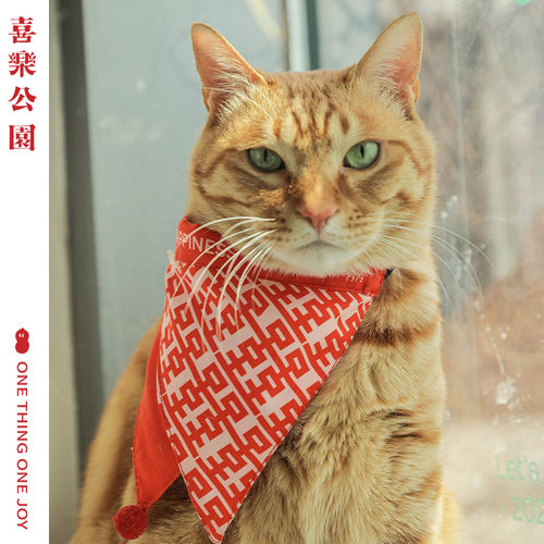 喜乐公园宠物口水巾喜字结婚装饰猫咪狗狗陪嫁可调节红色喜字围嘴