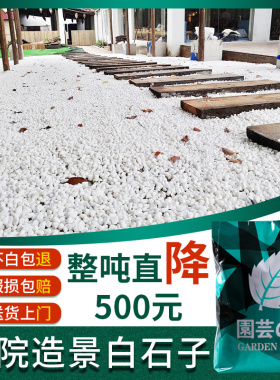 白石子砾石白色鹅卵石碎石庭院铺地阳台造景铺路花园装饰小白石头