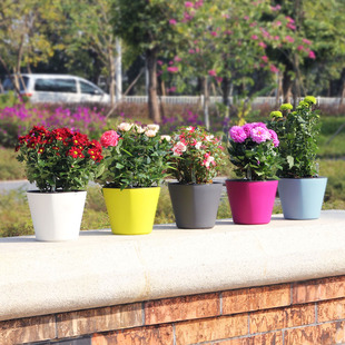 塑料中等 智能浇水自动吸水花盆兰花绿萝花盆 个性 圆方形懒人花盆