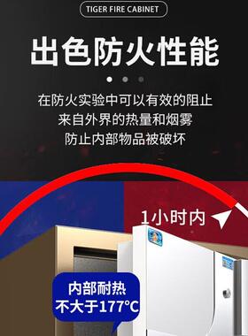 牌家用险办公大型指纹密码防火柜全钢防盗保FJX密柜可入墙保虎箱1