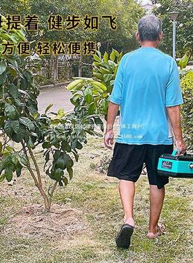 213人收藏】【充电浇菜水泵电动抽水机农田OUZ灌溉井水型125V24V