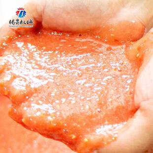 腾昇量50升商用果汁机工柿厂CMI用果蔬胡萝卜西红出榨汁机大产产