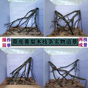 黄梨木香槟木黄雨栎木XZY角鹿枝南美林鱼造景一体多缸枝沉木