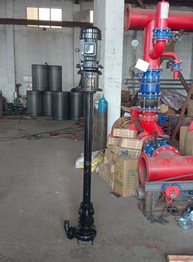 液K下大扬程排泵污泵矿场建材清淤泥浆渣IWB浆泵2.2W抽牛粪泵