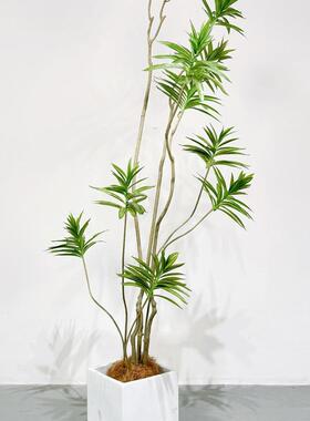 仿饰真植绿物百合盆栽大型假花植JEB摆件室内橱窗装楼梯下景竹观