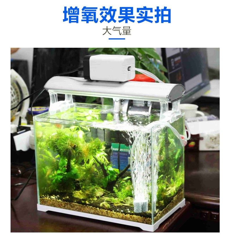 森森CT-201增氧泵充氧泵鱼缸增氧机静音小型双孔养鱼鱼缸氧气泵