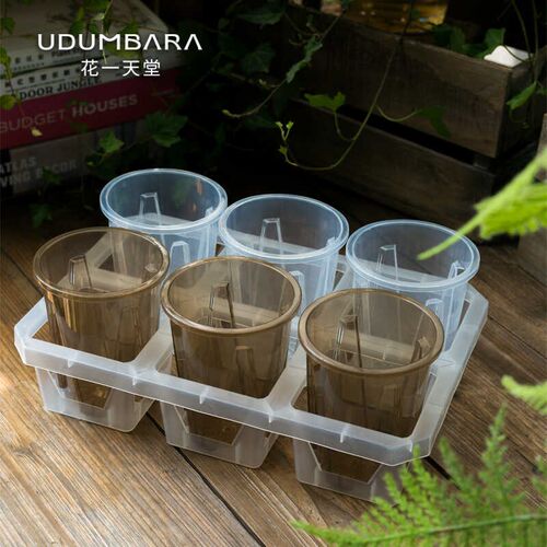 10cm蝴蝶兰塑料高透观根盆组合托架热植月季秋海棠角堇水苔花盆