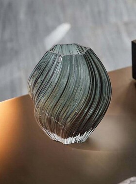 花瓶摆件客厅插花玻璃花瓶轻高感客厅默认9FVC奢透级明饰水培瓶装