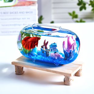 创意书桌鱼缸家居装 饰摆件办公桌面生态小热带鱼缸微观泰国斗鱼缸
