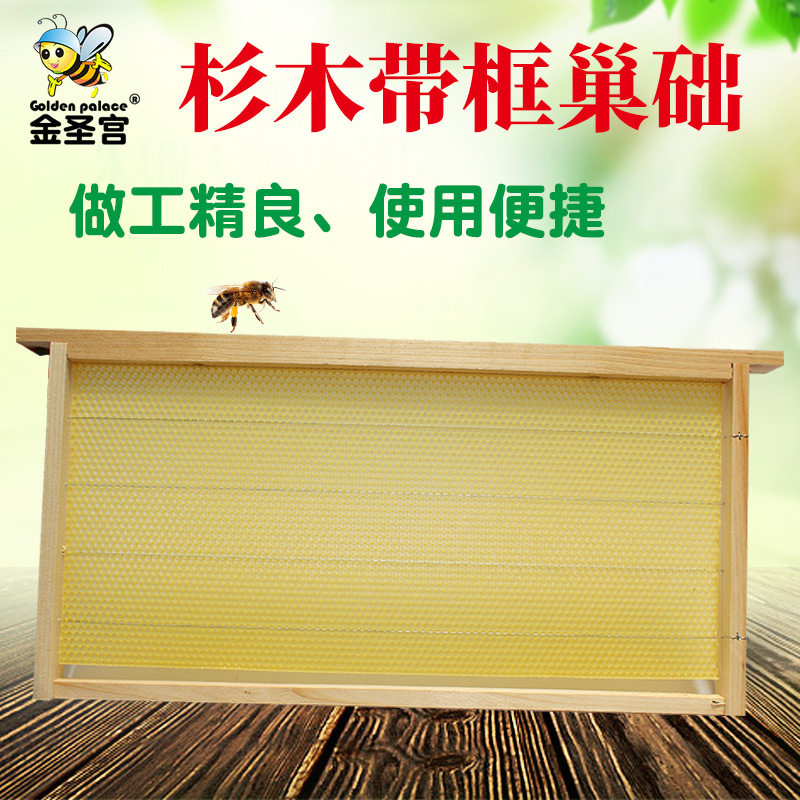 杉木带框巢础意蜂中蜂出口型