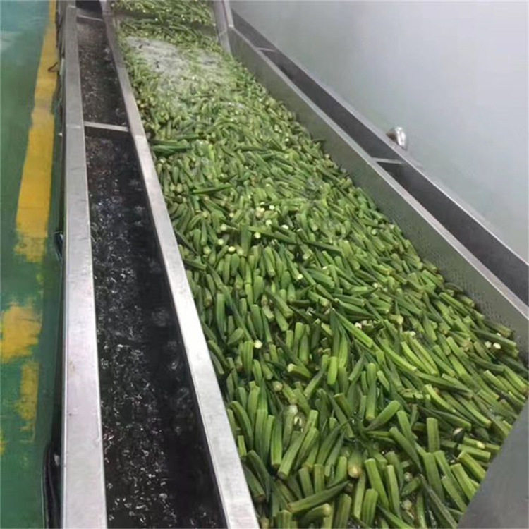 秋葵清洗机 各类蔬菜水果使用气泡喷淋清洗设备 高压强清洗干净