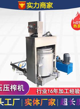 多维姜黄挤压式榨汁加纤格机达奇蓝莓RBY生榨果机汁榨汁柠檬压榨