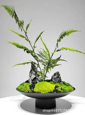 新中真式仿文竹绿植假花摆公件装饰品样板房酒店客办厅88040室餐