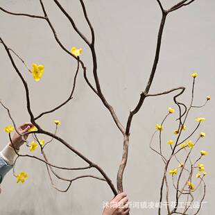 天然干树枝商场装饰造型树干室内枯枝插花造景仿真绿植梅花枝树杈