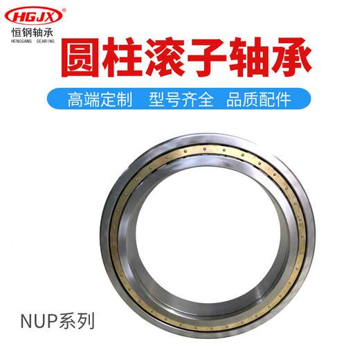 厂家直供974柱滚子轴承NUP109/圆63E0MNUP1/670M机械设备使用现货