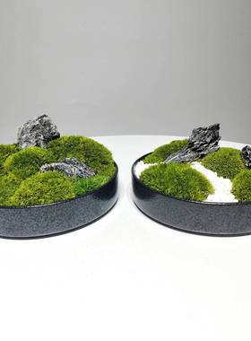 永生苔藓酒店真仿青苔景装饰微景观57085摆件新桌中式盆景面茶造