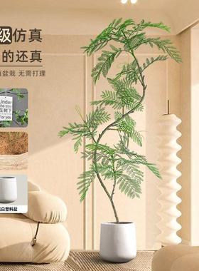 仿真绿植蓝植花楹室内盆栽大品型仿生物树轻70634奢客厅装饰落地