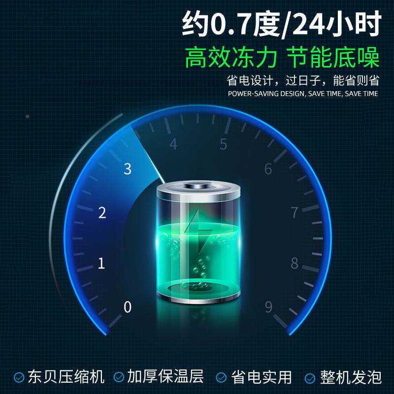 冰柜用大容量箱冷藏冷冻柜冰卧展商示柜式双WPV温铜管家用冰柜