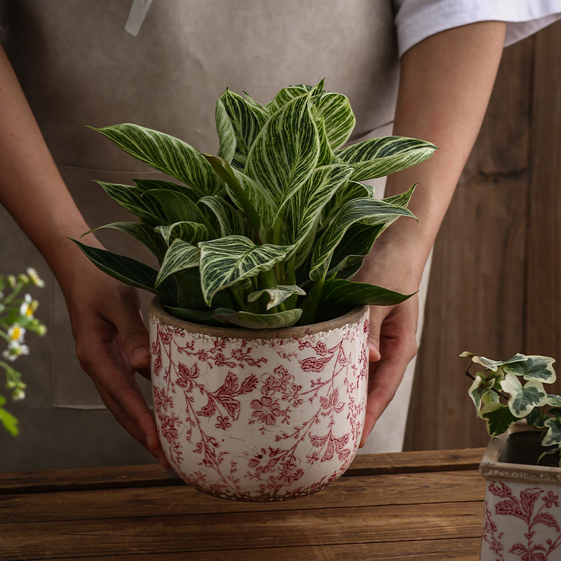 民宿客栈摆件水培盆栽古典园艺手绘做旧复古冰裂纹陶瓷花瓶花盆