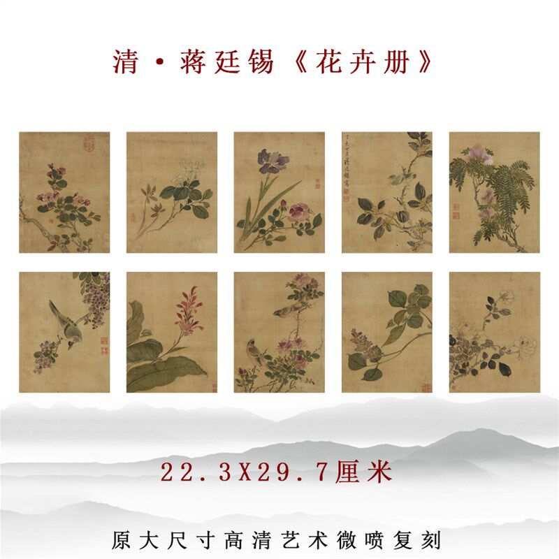 清代 蒋廷锡花卉册 国画工笔花鸟图案高清复制打印底稿中式装饰画