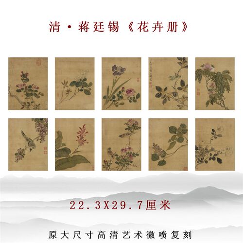 清代 蒋廷锡花卉册 国画工笔花鸟图案高清复制打印底稿中式装饰画