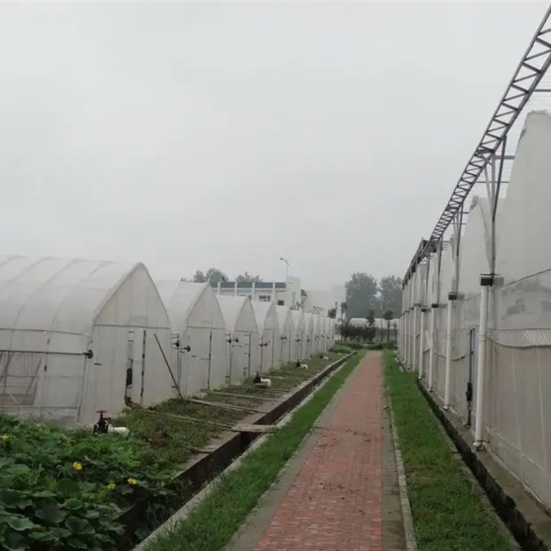 大棚钢管骨架拱棚配件定制蔬菜种植养殖椭圆管连体联动棚全支架