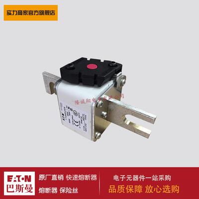 熔断器170M5261 170M5262 170M5263 170M5264 170M5265 170M5266