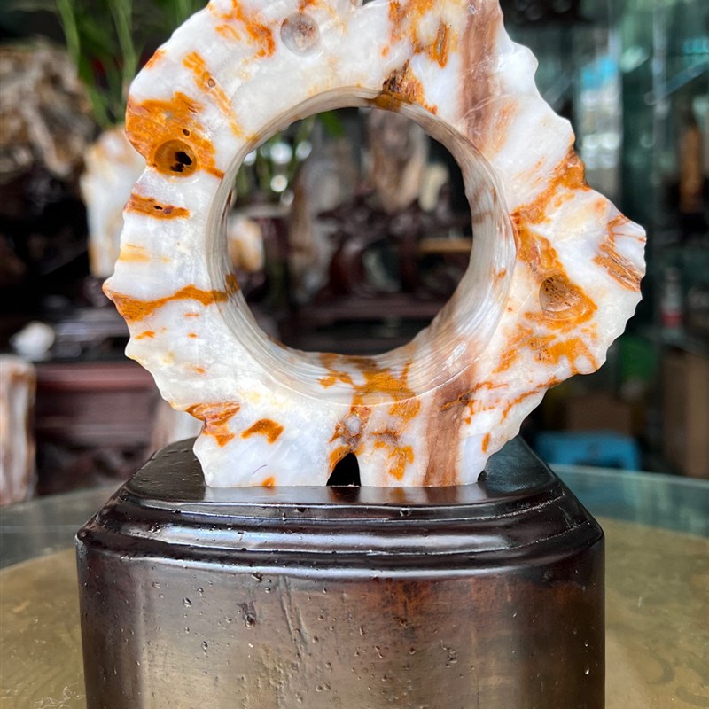 树化玉原石摆件家居客厅木化玉靠山石天然树化石书房观赏石木化石