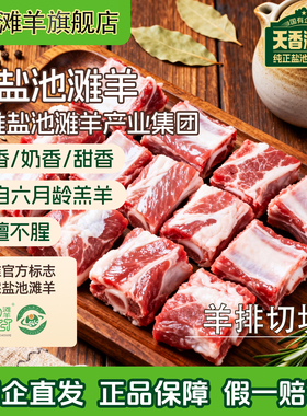 盐池滩羊羊排块鲜嫩宁夏盐池滩羊肉枸杞当归炖羔羊排新鲜清真食品