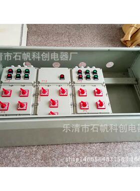 带护罩防爆箱 防爆灌装机控制箱 防爆电位箱 等位箱BF28159-SZF