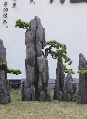 中式庭院假山造景布置别墅会所水池景观装饰仿真玻璃钢虎劈石头